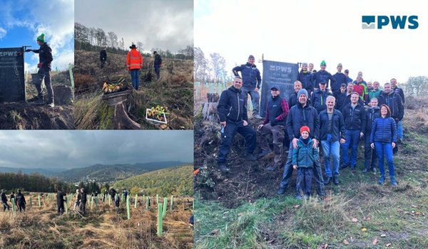 PWS Mitarbeiter pflanzen 200 Setzlinge für die Wiederbewaldung in Struthütten